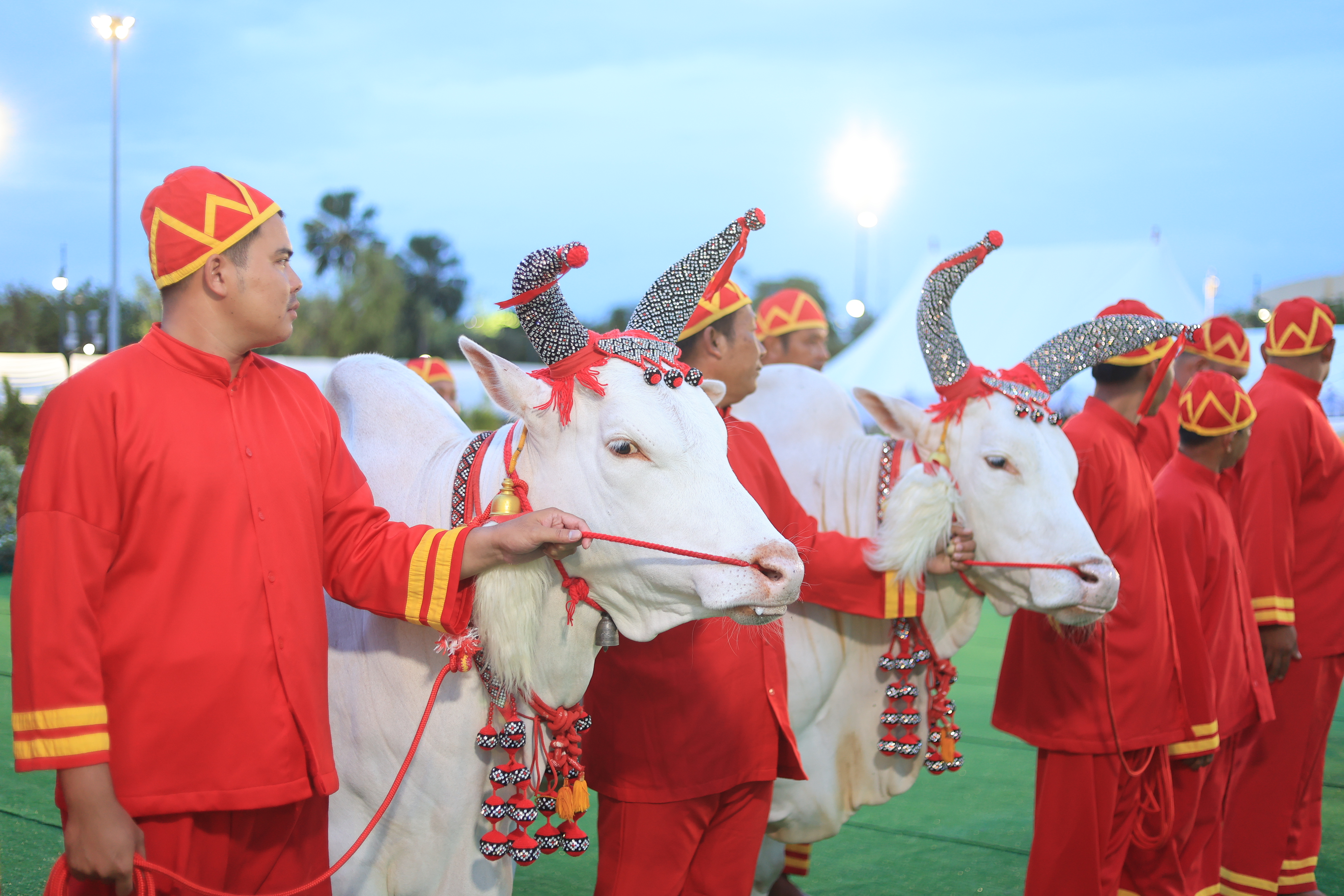 title - ปลัดเกษตรฯ ผู้ทำหน้าที่พระยาแรกนา พร้อมด้วยเทพีคู่หาบทองและเทพีคู่หาบเงิน ทำพิธีล้างมือพระยาแรกนา และเจิมหน้าพระโค